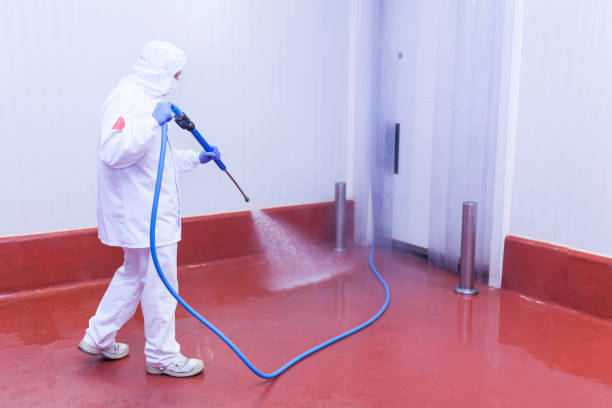 Best Playground Equipment Cleaning  in East Stroudsburg, PA